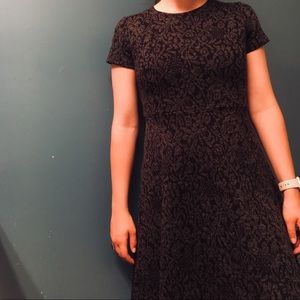 Loft Print Dress (Mid-Length)